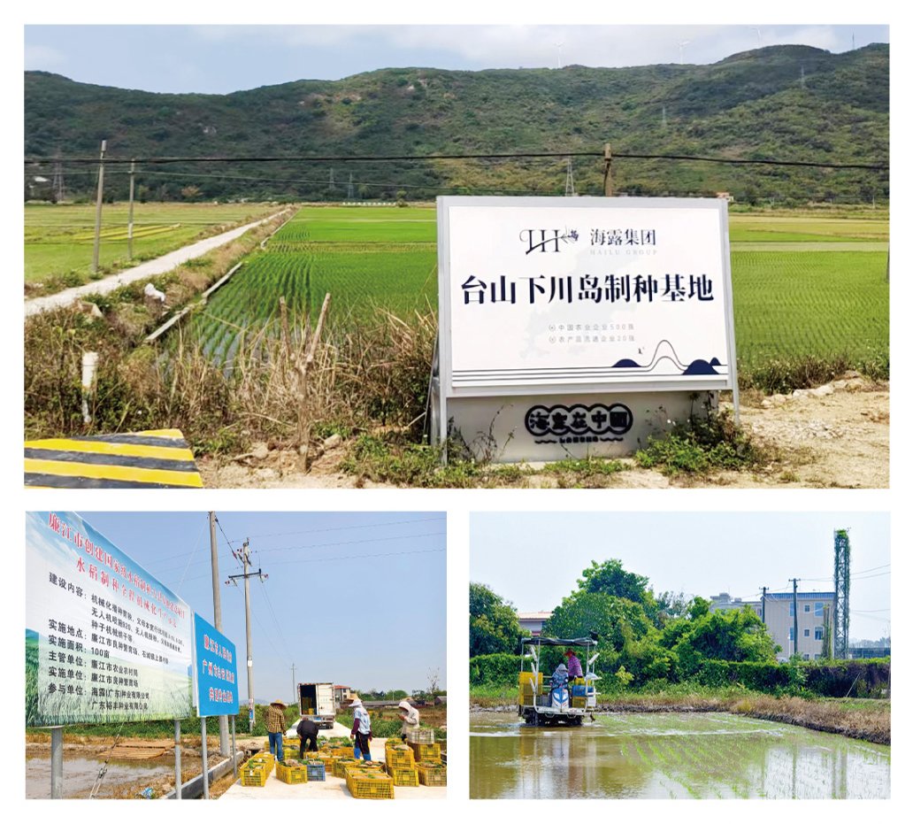 ��ҳ- �ڲ���������Ϊ��,רҵ����!