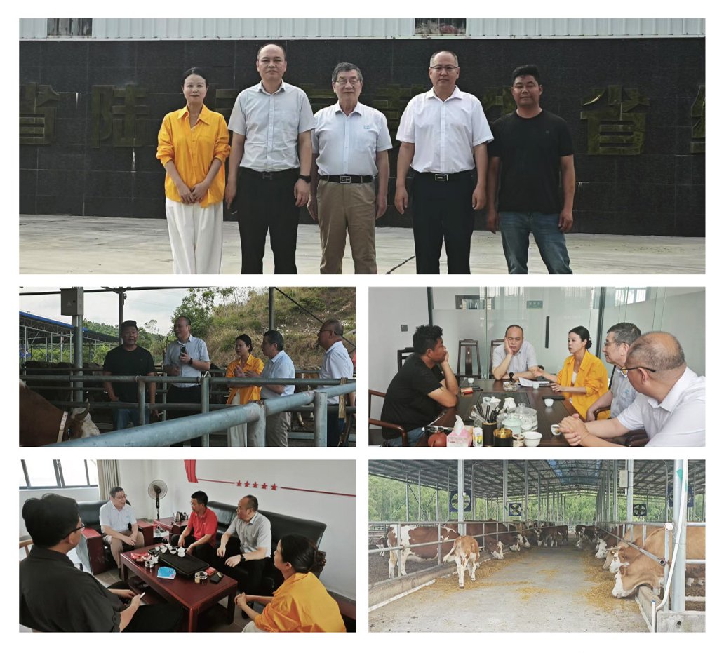 ��ҳ- �ڲ���������Ϊ��,רҵ����!