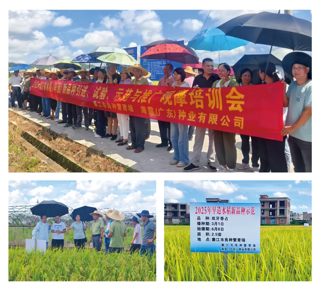 ��ҳ- �ڲ���������Ϊ��,רҵ����!