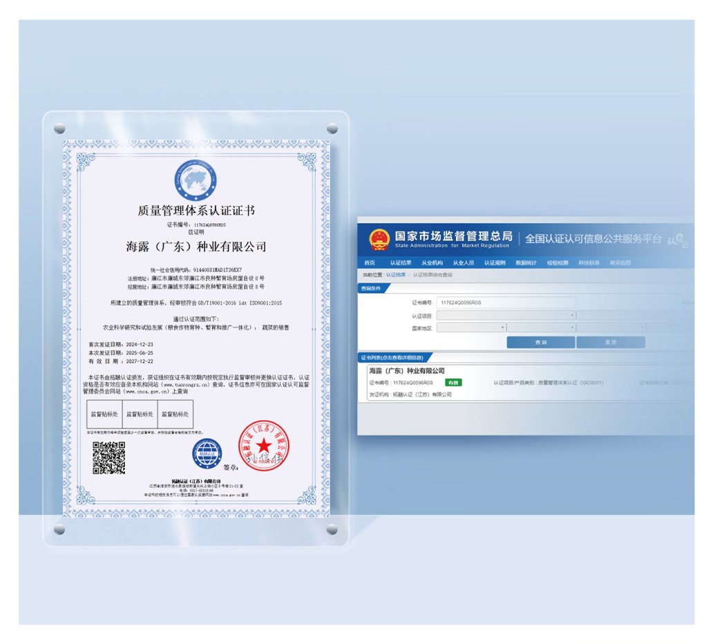 ��ҳ- �ڲ���������Ϊ��,רҵ����!