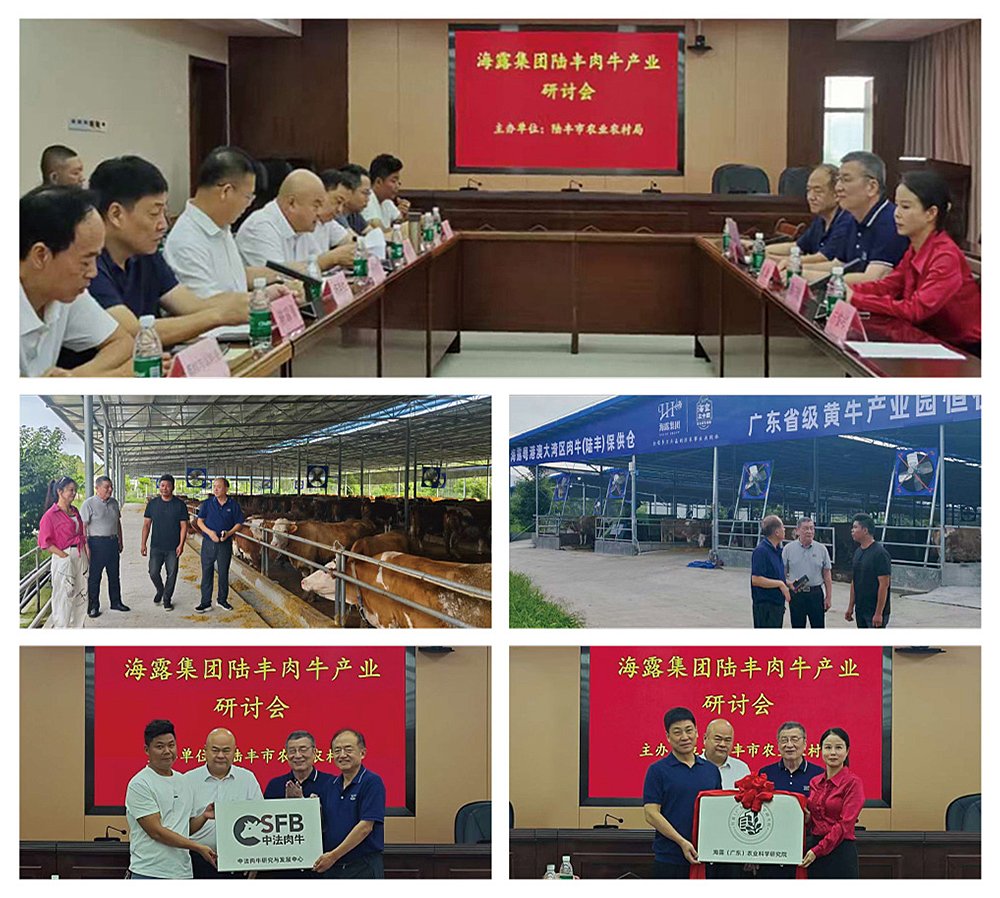 ��ҳ- �ڲ���������Ϊ��,רҵ����!