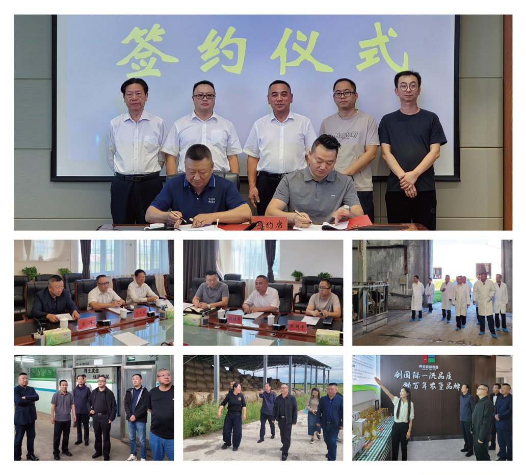 ��ҳ- �ڲ���������Ϊ��,רҵ����!