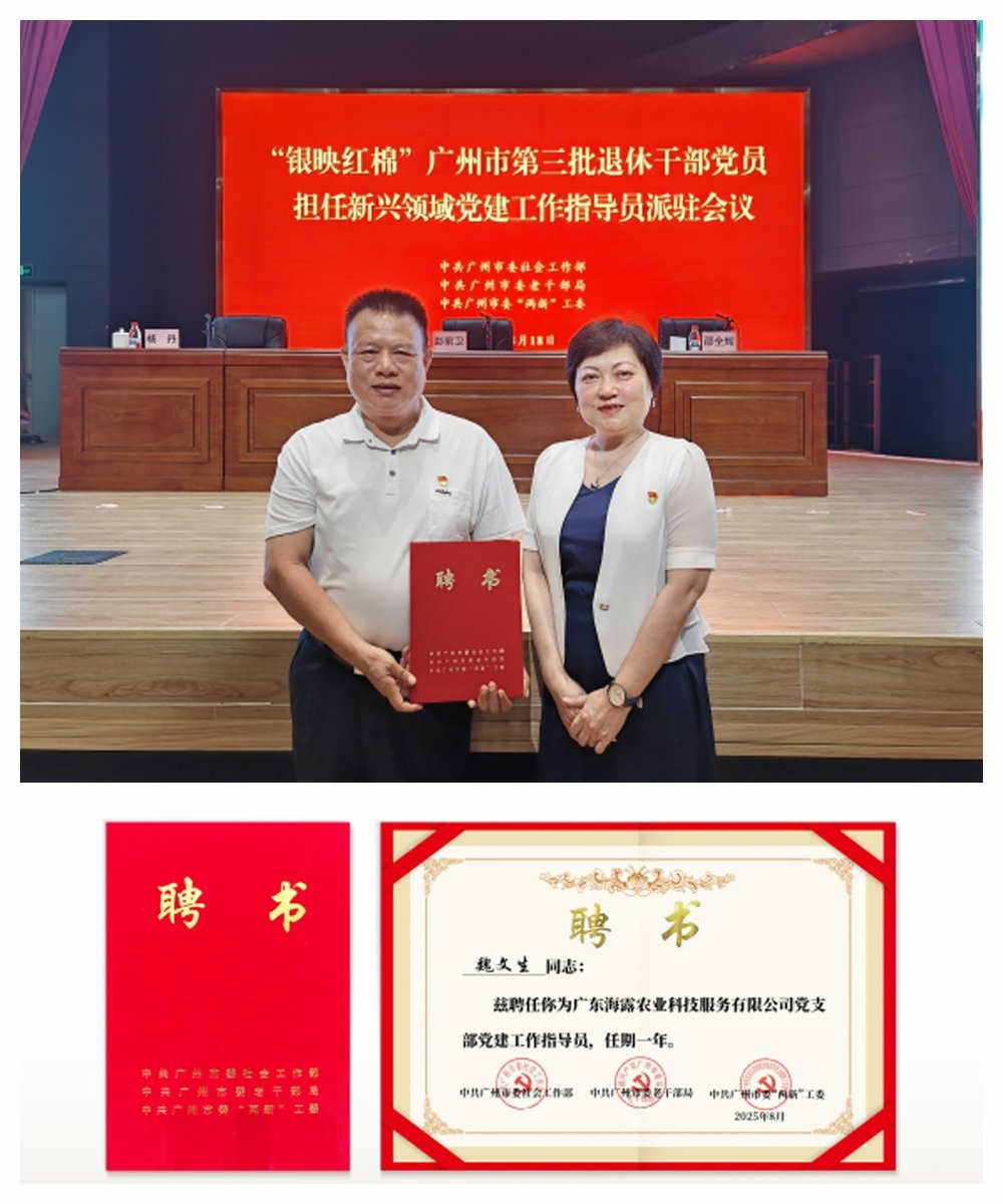 ��ҳ- �ڲ���������Ϊ��,רҵ����!