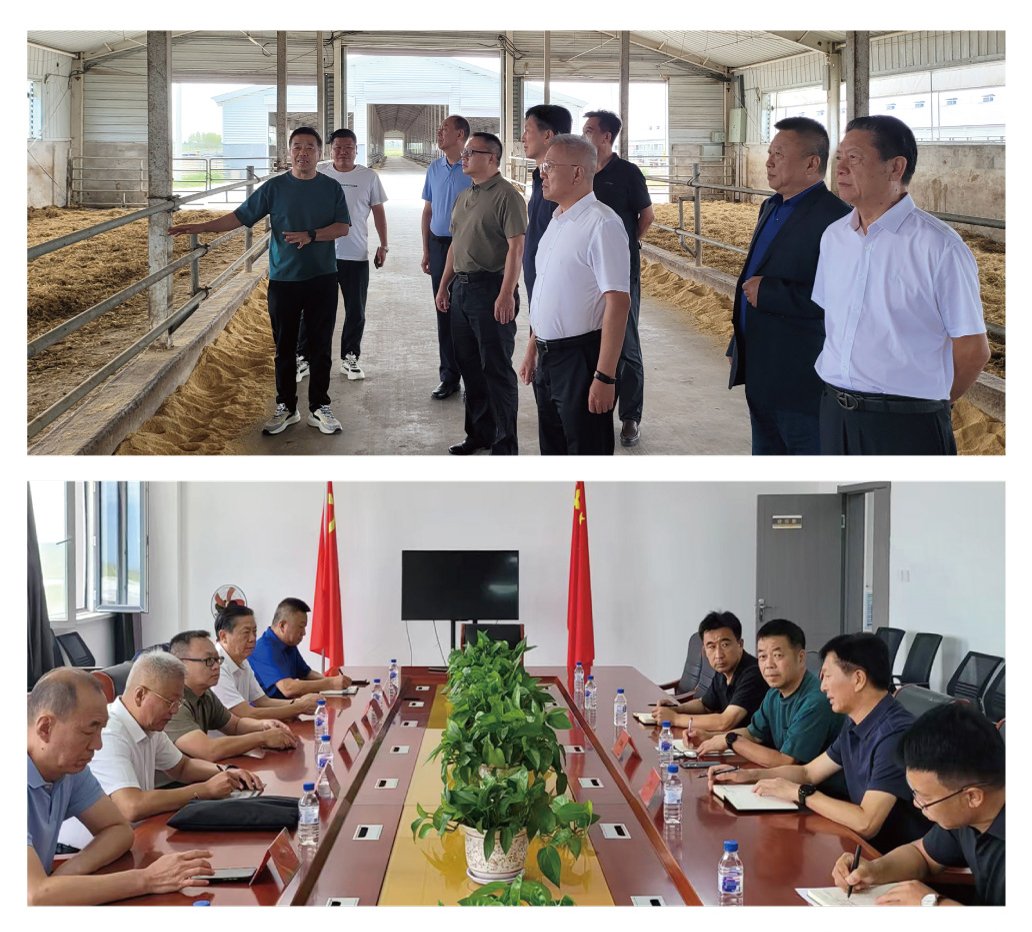 ��ҳ- �ڲ���������Ϊ��,רҵ����!