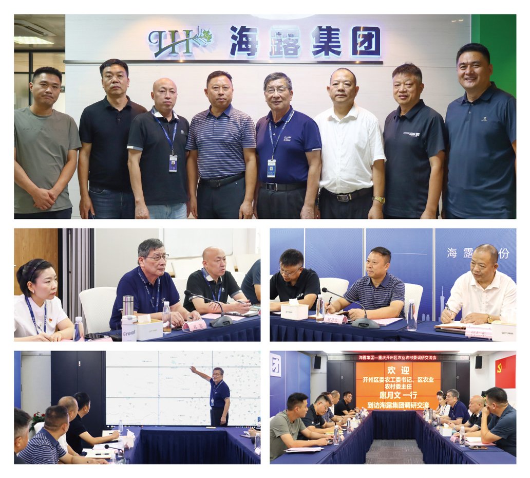 ��ҳ- �ڲ���������Ϊ��,רҵ����!