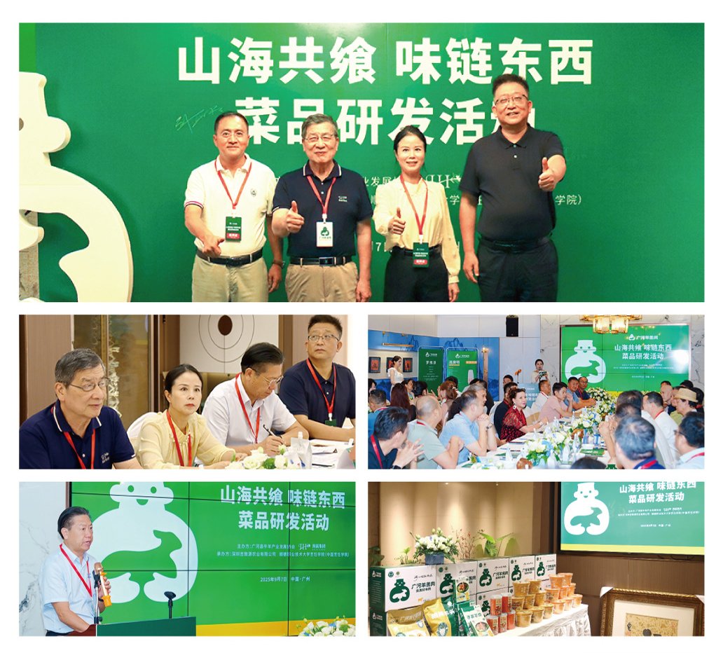 ��ҳ- �ڲ���������Ϊ��,רҵ����!