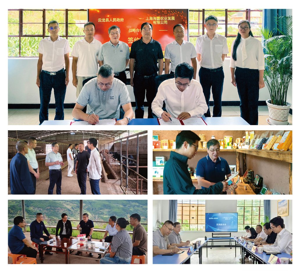 ��ҳ- �ڲ���������Ϊ��,רҵ����!