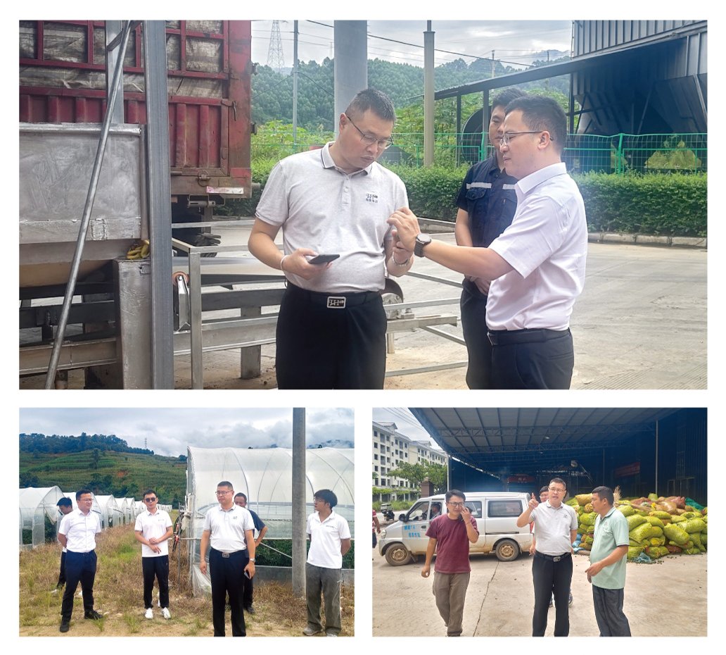 ��ҳ- �ڲ���������Ϊ��,רҵ����!