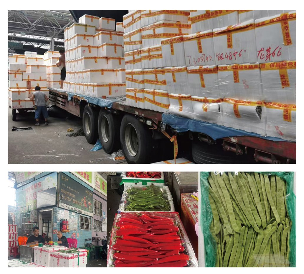 ��ҳ- �ڲ���������Ϊ��,רҵ����!