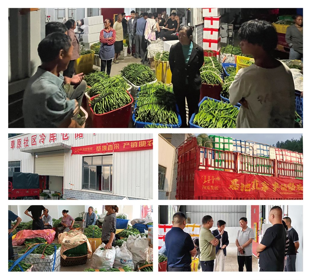 ��ҳ- �ڲ���������Ϊ��,רҵ����!