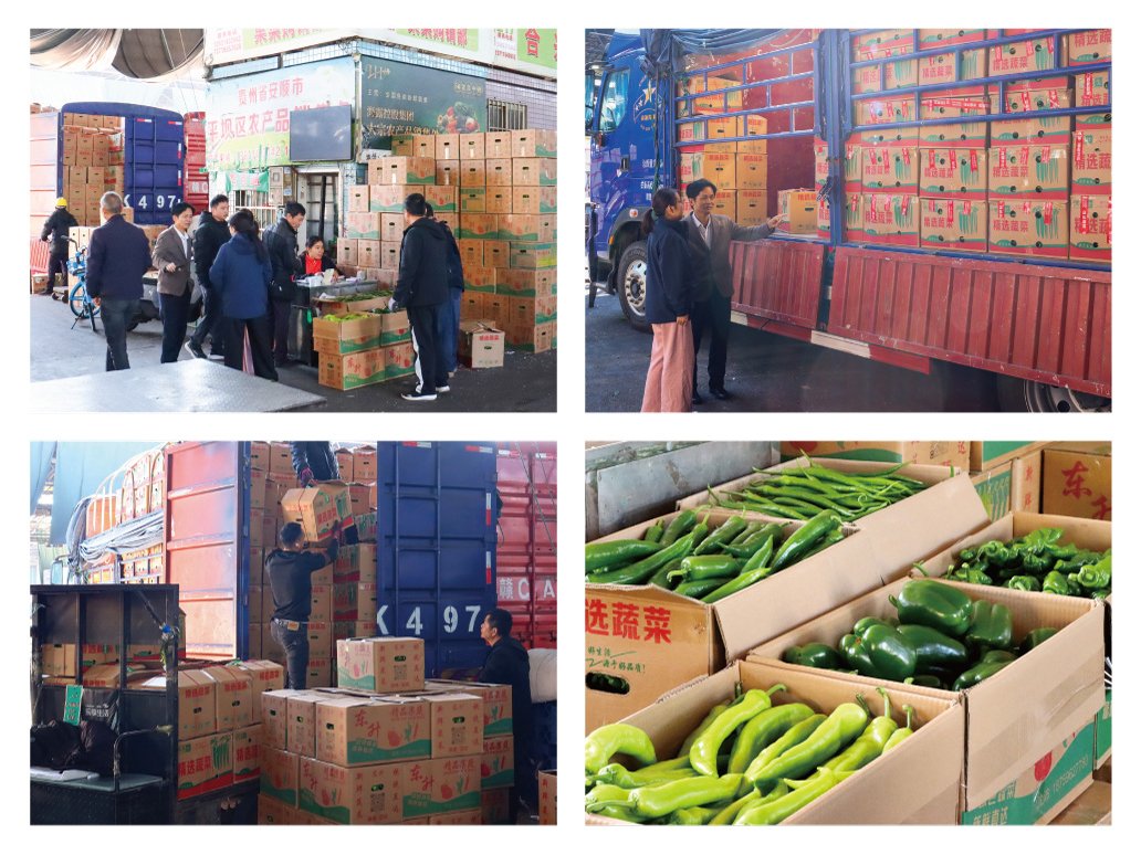 ��ҳ- �ڲ���������Ϊ��,רҵ����!